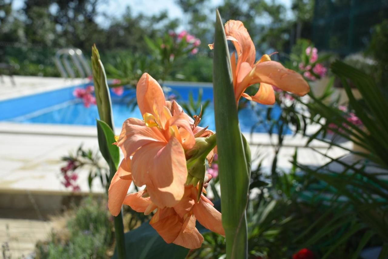 Гостевой дом Villa Portofino Crimea Ялта-38