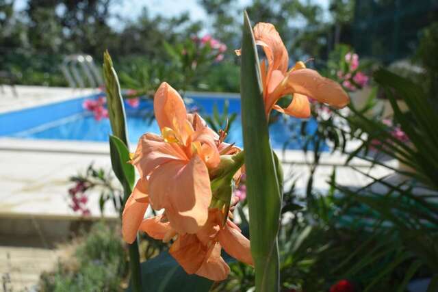 Гостевой дом Villa Portofino Crimea Ялта-37